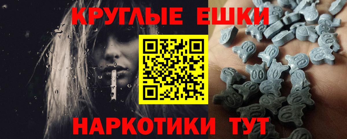 Ecstasy Philipp Plein Вязники