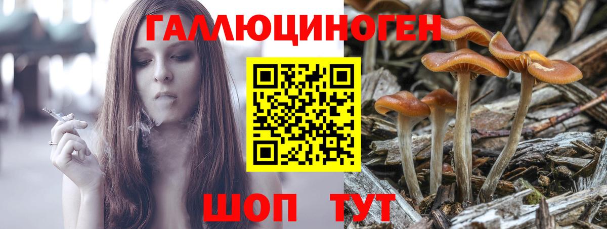 Галлюциногенные грибы мицелий Вязники
